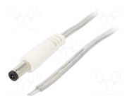 Cable; 2x0.5mm2; wires,DC 5,5/2,5 plug; straight; transparent; 5m BQ CABLE