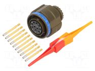 Connector: military; plug; female; PIN: 10; straight; crimped; 7.5A AMPHENOL AIR