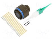Connector: military; plug; female; PIN: 22; straight; crimped; 5A AMPHENOL AIR