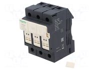 Fuse base; 8.5x31.5mm; for DIN rail mounting; 25A; Poles: 3 SCHNEIDER ELECTRIC