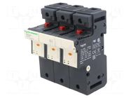 Fuse base; for DIN rail mounting; Poles: 3 SCHNEIDER ELECTRIC