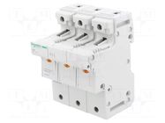 Fuse base; for DIN rail mounting; Poles: 3 SCHNEIDER ELECTRIC