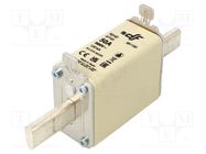 Fuse: fuse; gG; 50A; 500VAC; 250VDC; ceramic; NH0 DF ELECTRIC