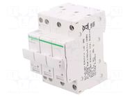 Fuse base; 8.5x31.5mm; for DIN rail mounting; 10A; Poles: 3+N SCHNEIDER ELECTRIC