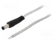 Cable; 2x0.5mm2; wires,DC 5,5/2,5 plug; straight; transparent BQ CABLE