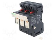 Fuse base; 14x51mm; for DIN rail mounting; 50A; Poles: 3 SCHNEIDER ELECTRIC