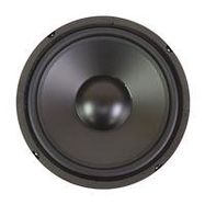 10" Poly Cone Woofer with Rubber Surround