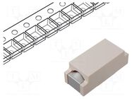 Fuse: fuse; 400mA; 250VAC; 250VDC; quick blow; 11x4.6mm; SMD; copper SCHURTER