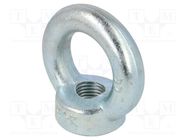 Lifting eye nut; eye; M24; steel; Plating: zinc; DIN 582; 50mm ELESA+GANTER