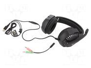 Headphones with microphone; black; Jack 3,5mm; headphones; 2m GEMBIRD