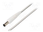 Cable; 2x0.35mm2; wires,DC 5,5/1,7 plug; straight; white; 0.5m WEST POL