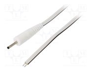 Cable; 2x0.5mm2; wires,DC 2,35/0,7 plug; straight; white; 0.5m WEST POL