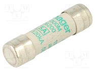 Fuse: fuse; aM,time-lag; 500mA; 500VAC; cylindrical,industrial HAGER