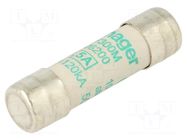 Fuse: fuse; 500mA; 500VAC; aM; cylindrical,industrial; 10x38mm HAGER