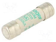 Fuse: fuse; 500mA; 500VAC; aM; cylindrical,industrial; 10x38mm HAGER