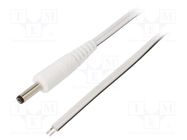 Cable; 2x0.5mm2; wires,DC 4,0/1,7 plug; straight; white; 0.5m WEST POL