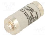 Fuse: fuse; gG; 63A; 400VAC; 250VDC; industrial; D02 MERSEN