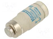 Fuse: fuse; 35A; 440VAC; 250VDC; gG; industrial; D02 MERSEN