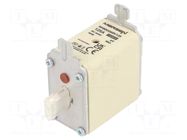 Fuse: fuse; 125A; 690VAC; 250VDC; gG; ceramic,industrial; NH00 MERSEN