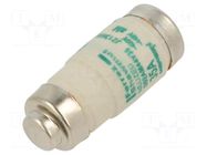 Fuse: fuse; 35A; 440VAC; aM; industrial; D02 MERSEN