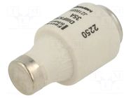 Fuse: fuse; 35A; 500VAC; 500VDC; gG; industrial; DIII MERSEN