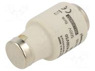 Fuse: fuse; 50A; 500VAC; 500VDC; gG; industrial; DIII MERSEN