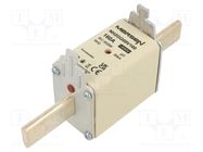 Fuse: fuse; gG; 160A; 690VAC; 250VDC; ceramic,industrial; NH2 MERSEN