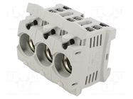 Fuse holder; D02; for DIN rail mounting; 63A; 400V; Poles: 3 MERSEN