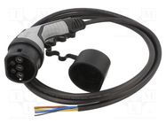 Cable: eMobility; 1x0.5mm2,3x2.5mm2; 250V; 5kW; IP44; wires,Type 2 PHOENIX CONTACT
