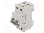 Circuit breaker; 230/400VAC; Inom: 6A; Poles: 2; Charact: C; 10kA ETI POLAM