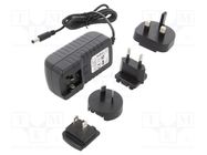 Power supply: switched-mode; mains,plug; 12VDC; 2A; 24W; Plug: EU YINGJIAO