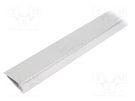 Profiles for LED modules; white; natural; L: 2m; WALLE12; surface TOPMET