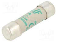 Fuse: fuse; aM; 10A; 500VAC; ceramic,cylindrical,industrial DF ELECTRIC