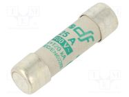 Fuse: fuse; aM; 25A; 400VAC; ceramic,cylindrical,industrial DF ELECTRIC