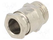 Cable gland; G1/4"; IP54; brass; 4÷6mm 