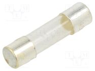 Fuse: fuse; quick blow; 300mA; 250VAC; cylindrical,glass; 5x20mm EATON/BUSSMANN