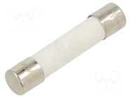 Fuse: fuse; 3.15A; 250VAC; quick blow; ceramic; 6.3x32mm; brass OPTIFUSE