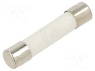 Fuse: fuse; 350mA; 250VAC; quick blow; ceramic; 6.3x32mm; brass OPTIFUSE