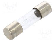 Fuse: fuse; medium time-lag; 750mA; 250VAC; glass; 5x20mm; brass OPTIFUSE