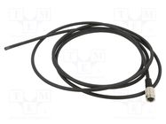 Connection lead; PIN: 3; unshielded,with leads; plug; 702; IP67 BINDER