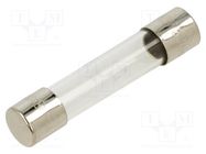 Fuse: fuse; quick blow; 300mA; 250VAC; glass; 6.3x32mm; brass; FSA 