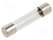 Fuse: fuse; quick blow; 750mA; 250VAC; glass; 6.3x32mm; brass; FSA OPTIFUSE