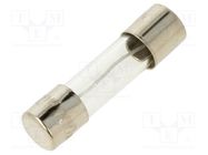 Fuse: fuse; medium time-lag; 100mA; 250VAC; glass; 5x20mm; brass 