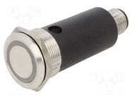 Switch: vandal resistant; Pos: 2; SPDT; 0.6A/35VAC; 600mA/35VDC EAO