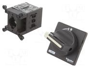 Main emergency switch-disconnector; Poles: 3; on panel; 20A; IP65 SCHNEIDER ELECTRIC