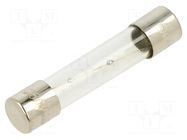 Fuse: fuse; 1.5A; 250VAC; time-lag; glass; 6.3x32mm; TSA; brass OPTIFUSE