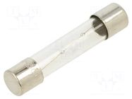 Fuse: fuse; 1.6A; 250VAC; time-lag; glass; 6.3x32mm; TSA; brass OPTIFUSE