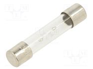 Fuse: fuse; time-lag; 10A; 250VAC; glass; 6.3x32mm; brass; TSA OPTIFUSE