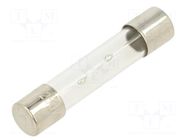 Fuse: fuse; 10A; 250VAC; time-lag; glass; 6.3x32mm; TSA; brass OPTIFUSE