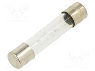 Fuse: fuse; time-lag; 2.5A; 250VAC; glass; 6.3x32mm; brass; TSA 